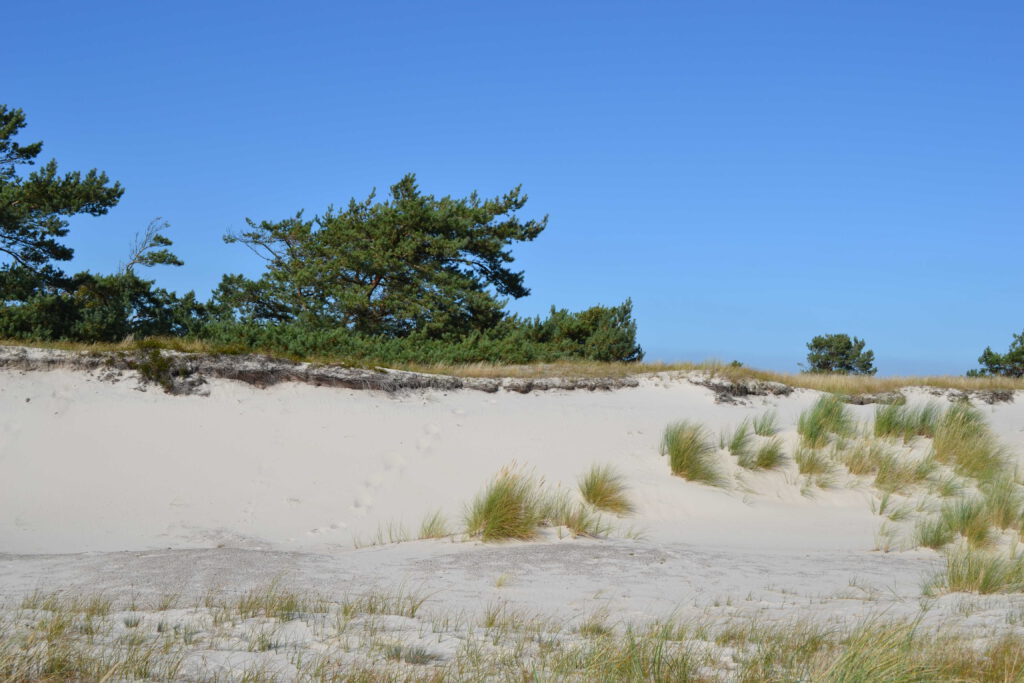 Bilder Reisen_by Christine Lendt (42)_compressed